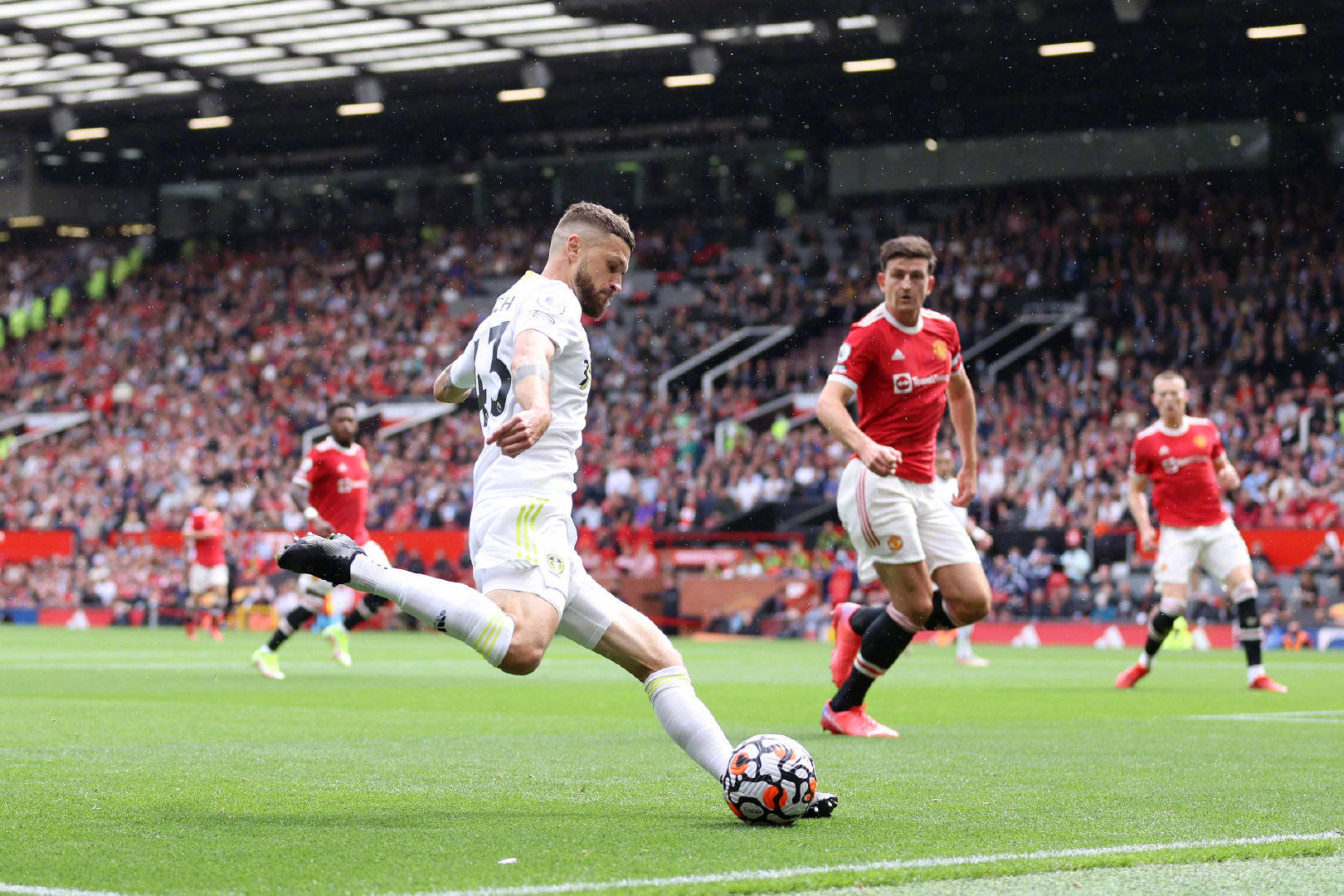 应对是可以 应对是可以